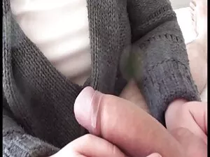 毛むくじゃらのメキシコの十代の猫はLit ...