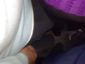 仮想タブー金髪ティーンフィード彼女の猫  ...