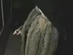 カップル69ニューハーフ 無料 女性 ア ...