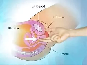 恐竜学生パーティーは精子を生成します ア ...